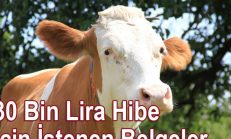 30 Bin Lira Hibe